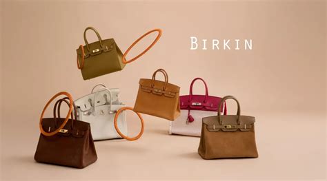 borse da donna hermes birkin|hermes birkin bag death.